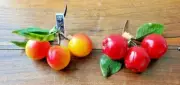 Vintage Set of 2 Marco Artificial Plastic Fruit Apples &Peaches w/Greenery (NEW)