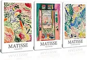 Framed Henri Matisse Abstract Canvas Wall Art Print Set French Floral Rainbow Landscapes Nature Plants Illustrations Modern Multicolor for Living Room, Bedroom, Office - 12"x16"x3