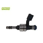 Goss Gdi Injector 3.0Lt Lf1 - PID011