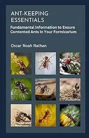 Ant-keeping Essentials: Fundamental Information to Ensure Contented Ants in Your Formicarium