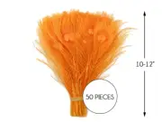 50 Pieces – Orange Bleached & Dyed Peacock Tail Eye Wholesale Feathers 10-12"