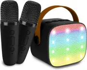 Bluetooth Mini Karaoke Machine with 2 Wireless Microphones for Home Parties