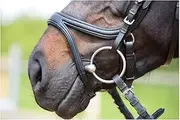 Kieffer Ultrasoft Tara Snaffle Bridle (UK Size: Full) (Brown)