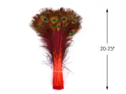 50 Pieces - 20-25" Orange Dyed Natural Long Peacock Tail Eye Wholesale Feather