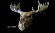 Wendigo Mask Moose Skully Wearable Scary Film Base Head Moving Jaw IcyDragons
