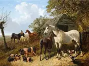 FARMYARD SCENE Horse Accent Tile Mural Kitchen Bathroom Wall Backsplash 8x6