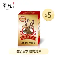 在飛比找momo購物網優惠-【華陀扶元堂】龍悅鹿茸精膠囊5盒組(30粒/盒-活力來源)