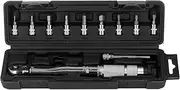 1/4 Inch Torque Wrench Set High Strength Chrome Vanadium Steel Professional Automotive Motorcycle Maintenance Tool Kit with Hex Bit Socket Set