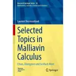 SELECTED TOPICS IN MALLIAVIN CALCULUS: CHAOS, DIVERGENCE AND SO MUCH MORE