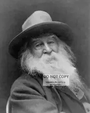 WALT WHITMAN AMERICAN POET, ESSAYIST AND JOURNALIST - 8X10 PHOTO (BT966)