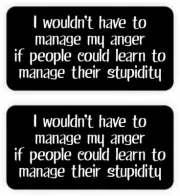 Funny MANAGE MY ANGER Hard Hat Sticker Decal
