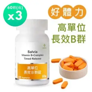 【佳醫】Salvia高單位長效B群錠60顆/瓶*3入長效達8小時美國GMP大廠進口完整B群添加膽素(新B群)11種營養素