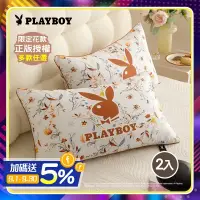 在飛比找遠傳friDay購物優惠-【PLAYBOY】珠光棉石墨烯羽絲絨舒眠枕2入