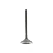 Engine Intake Valve-DOHC, Eng Code: QR25DE, 16 Valves DNJ IV657