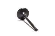 Intake Valve Polaris 330 Magnum 2x4 330cc 2003 2004 2005 (See Notes)