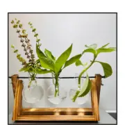 Plant Propagation Station Plant Terrarium with Wooden Stand Unique Gar...