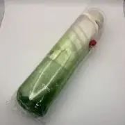 Tabi suru Kissa × Wpc. Cream Soda Folding Vinyl Umbrella Green Color Japan New
