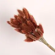 19 Inch Natural Bunny Tails Dried Flowers，Bohemian Style，Pampas Grass Decor，120 Pcs Dried Flowers，Eternal and Preserving Floral Arrangement in Home Decoration ﻿(Deep Brown)