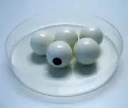 HYDROGEN ATOMS /ADVANCED MOLECULAR MODEL