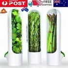 Kitchen Herb Saver Keeper for Fresh Produce Refrigerator Herbs Storage Container