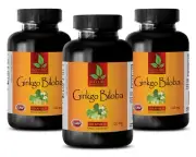 Ginkgo Extract Tablets - GINKGO BILOBA EXTRACT 120mg Boost The Immune System 3B