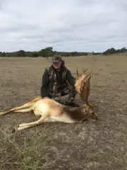 TROPHY FALLOW BUCK DEER HUNTING SAFARI