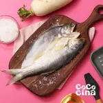 【COCOCINA】薄鹽熟成午仔魚一夜干(150G/尾*6尾)
