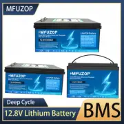 12V 100AH 200AH 300AH Lithium LiFePO4 Battery Deep Cycle BMS RV Leisure Battery