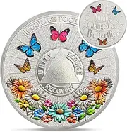 Colorful Sunflower Sobriety Coin - Recovery Triangle Butterfly AA Coins - Silver Addicts NA AA Chips and Medallions - Celebrate Living Clean Narcotics Alcoholics Anonymous Gifts for Men Women