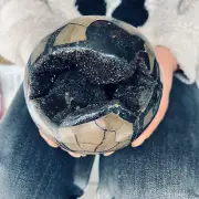 5.83LB Natural Dragon Septarian Geode Quartz Cluster Crystal egg Healing 2650g