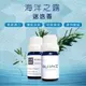 【QUINCE沐梨精粹】 迷迭香 Rosemary 100%純單方精油 10ML 11805