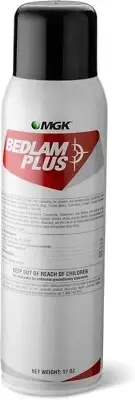 BEDLAM plus 17 Oz, Clear