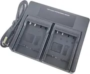 USB Dual Battery Charger for PANASONIC DMW-BCF10 DMW-BCF10E DMW-BCF10PP CGA-S009 CGA-S009E Lumix DMC-FS10 DMC-FS30 DMC-FH20 DMC-FT1 FT2 FT3 FT4 Camera