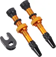 SOLUSTRE Bicycles Tire Supply 1 Pair of French Vacuum Air Nozzle Valves Aluminum Alloy