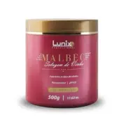 Professional Malbec Wine Sealing Frizzy Hair Reconstructor Mask 500g - Lunix