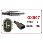 RAE Oxygen Sensor - OX507