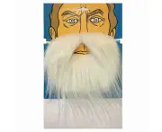 White Beard & Moustache (Budget) - Adult