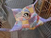 Ferret Hideaway Hammock - Pastel Patch Quilt Pattern