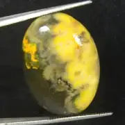 19.25 Ct Bumble Bee jasper 100% Natural Yellow Oval Cabochon Gems for Jewelry