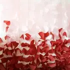 Burgundia backdrop, Marsala backdrop, Red ombre backdrop, Wedding party backdrop