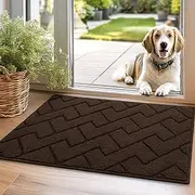Biscpro Front Door Mat, 50 x 80 cm Welcome Floor Mat Entrance,Non Slip Entryway Mats Home Washble,Low Profile Rug Durable Muddy Pet Mat(Coffee)