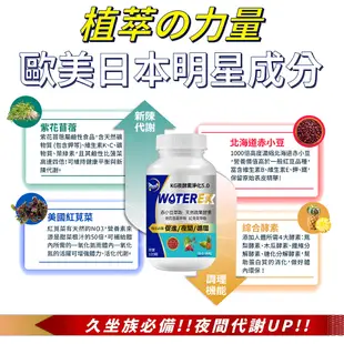 【聯華食品 KGCHECK】EX夜酵素淨化膠囊(120顆)