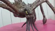 CUSTOM TITANUS SCYLLA from Godzilla:King of the Monsters please read description