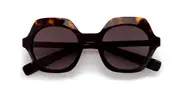 Kaleos Beetle C4 Men's Sunglasses Tortoiseshell Size 50