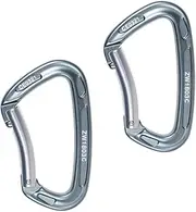 Generic 2 Carabiners of Reminding Reminder