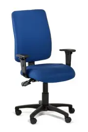 Gregory Boxta High Back Ergonomic Chair with Fabric Back