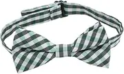 [Baluue] Patrick's Day Bow Tie Comfortable Eye Catching Green Design for Festive Appeal Costume Accessories for Patrick's Day Party Celebrations