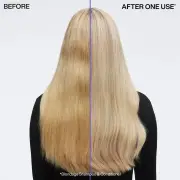 Redken Color Extend Blondage Shampoo and Conditioner 500ml Bundle