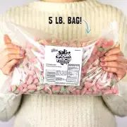 SOUR PATCH KIDS Watermelon Flavored, Soft & Chewy Bulk Candy (5 Pound Bag) DEAL!