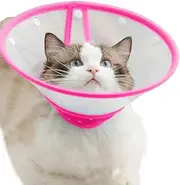 Cat Cone Dog Cone Collar Soft Dotted Recovery Collar After Surgery for Cats Kitten Puppy Small Dogs Pets Animals (S, Rose Red)